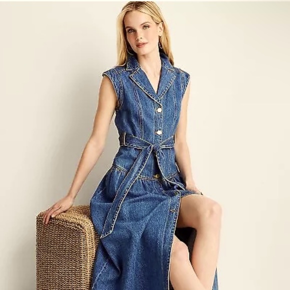 Sleeveless Denim Button-Front Midi Dress - Future Collective with Jenee Naylor - Picture 3 of 5